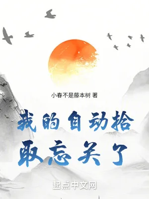 《我的自动拾取忘关了》小说封面