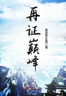 《再证巅峰》小说封面