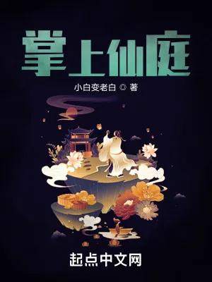 《掌上仙庭》小说封面