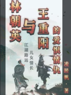 《林朝英与王重阳的爱恨情仇》小说封面
