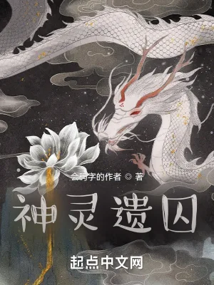 《神灵遗囚》小说封面