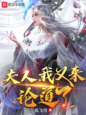 《夫人,我又来论道了!》小说封面