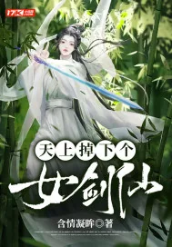 《天上掉下个女剑仙》小说封面