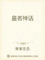 《皇者神话》小说封面