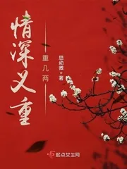 《情深义重重几两》小说封面