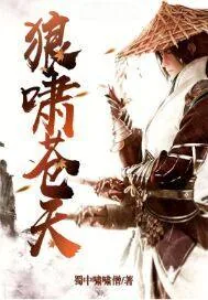 《狼啸苍天》小说封面