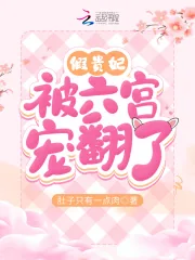 《假贵妃被六宫宠翻了》小说封面