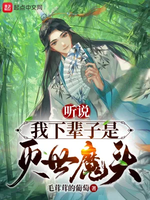 《听说我下辈子是灭世魔头》小说封面