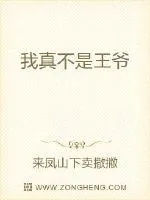 《我真不是王爷》小说封面