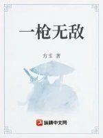 《一枪无敌》小说封面
