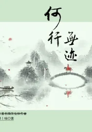 《何行无迹？》小说封面