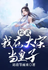 《综武:我在大宋当皇子》小说封面