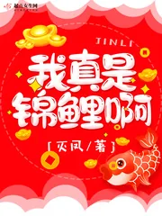 《我真是锦鲤啊》小说封面