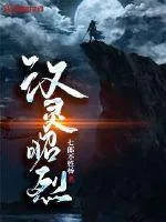 《汉灵昭烈》小说封面
