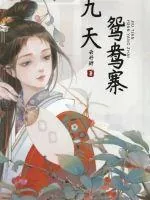 《九天鸳鸯寨》小说封面