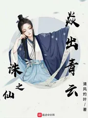 《诛仙之焱出青云》小说封面