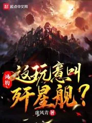 《鸿钧：这玩意叫歼星舰？》小说封面