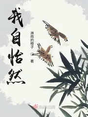 《我自怡然》小说封面