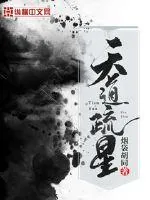 《天道疏星》小说封面