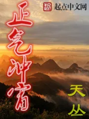 《正气冲宵》小说封面