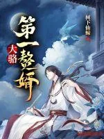 《大骆第一赘婿》小说封面