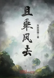 《且乘风去》小说封面