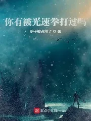 《你有被光速拳打过吗?》小说封面