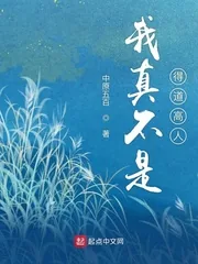 《我真不是得道高人》小说封面