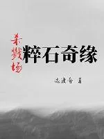 《杀戮场粹石奇缘》小说封面