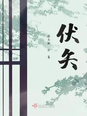 《伏矢》小说封面