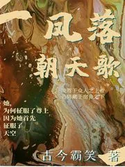 《凤落朝天歌》小说封面