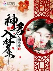 《神君入梦来》小说封面