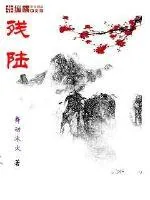 《残陆》小说封面