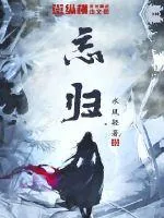 《忘归》小说封面