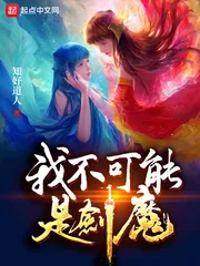 《我不可能是剑魔》小说封面