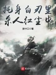 《托身白刃里,杀人红尘中》小说封面
