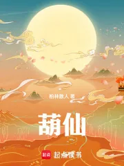 《葫仙》小说封面