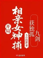 《开局相亲女神捕,获独孤九剑》小说封面