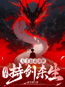 《左手悬壶济世,右手持剑杀生》小说封面
