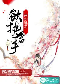 《欲执君手,君却逃走》小说封面
