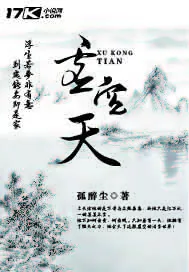 《虚空天》小说封面