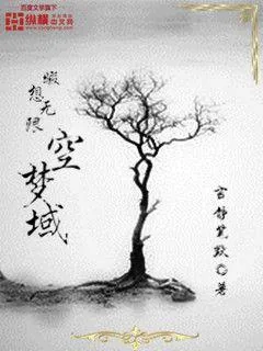 《暇想无限空梦域》小说封面