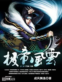 《极帝风云》小说封面