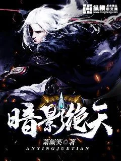《暗影绝天》小说封面