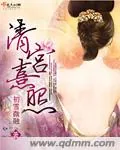 《清宫熹照》小说封面