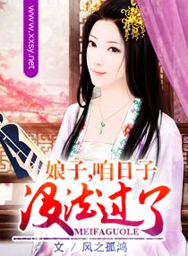 《娘子，咱日子没法过了》小说封面