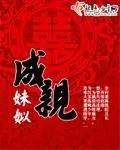 《成亲》小说封面