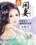 《闲妻》小说封面