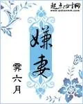 《嫌妻》小说封面