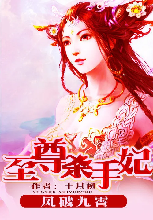 《至尊杀手妃：凤破九霄》小说封面